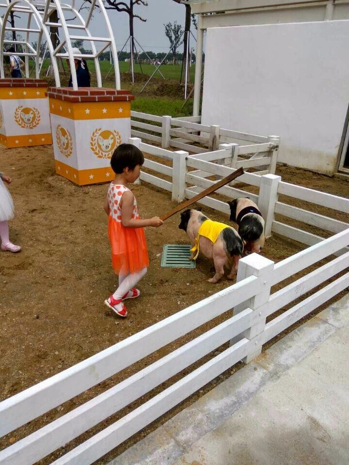 CA88(�й�)Ψһ�ٷ���վ���