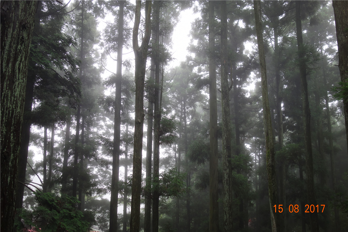 CA88(�й�)Ψһ�ٷ���վ���