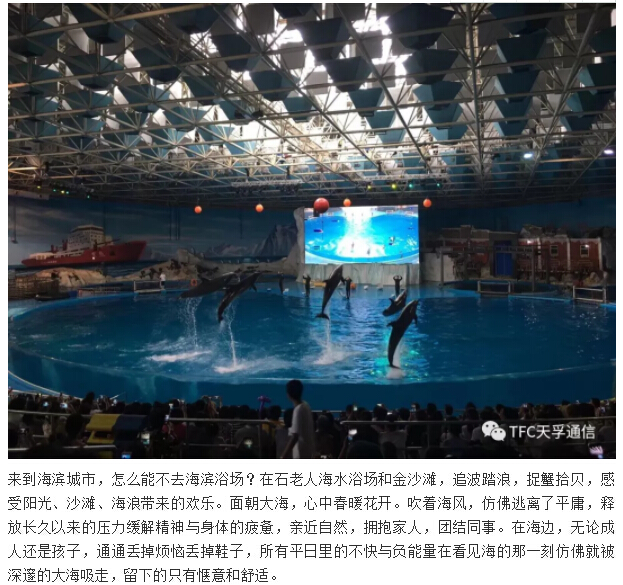 CA88(�й�)Ψһ�ٷ���վ���