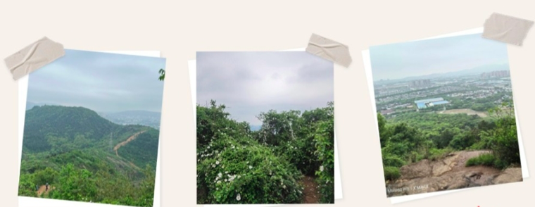 CA88(�й�)Ψһ�ٷ���վ���